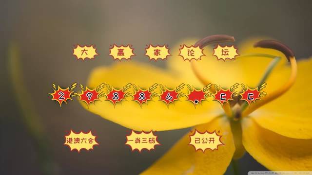 4949澳门天彩艺术全年免费资料,精准解答解释落实_ok168.78.38