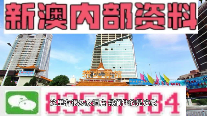 2025新澳免费资料五不中资料,探索未来，解析新澳免费资料五不中现象与策略