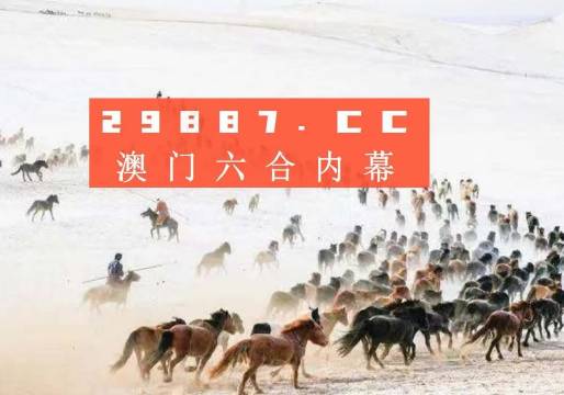 4949澳门特马今晚开奖53期,探索澳门特马文化，第53期开奖的启示